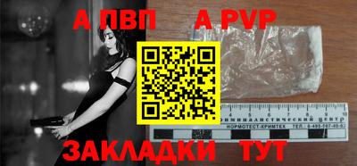 стаф Кингисепп