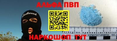 стаф Кингисепп