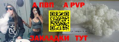 стаф Кингисепп